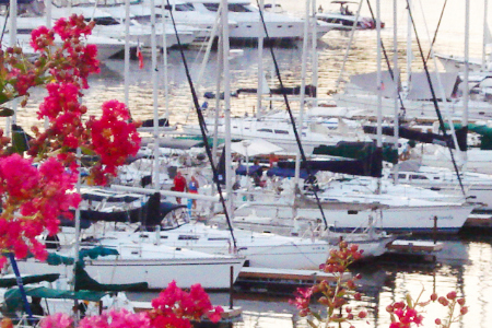 Marina's Available - Aqua Yacht Harbor